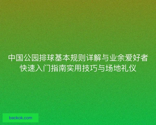 中国公园排球基本规则详解与业余爱好者快速入门指南实用技巧与场地礼仪